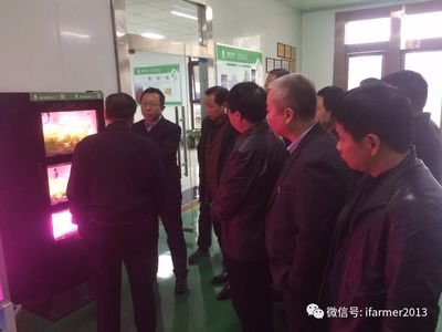 市人大领导深入旭田光电调研，聚焦植物工厂项目与灯具产业协同发展